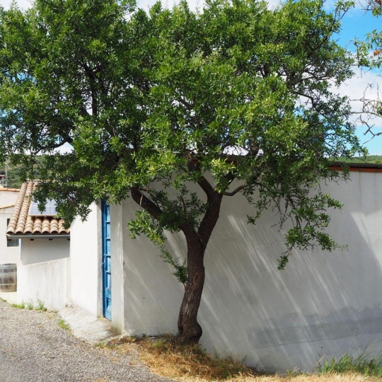 Benedicte JOUVET - ODYSSEE - IMMO-DIFFUSION : Maison / Villa | CASCASTEL-DES-CORBIERES (11360) | 165 m2 | 296 000 €   Benedicte JOUVET - ODYSSEE - IMMO-DIFFUSION : Maison / Villa | CASCASTEL-DES-CORBIERES (11360) | 165 m2 | 296 000 €