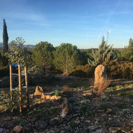  Benedicte JOUVET - ODYSSEE - IMMO-DIFFUSION : Maison / Villa | FITOU (11510) | 108 m2 | 227 000 € 