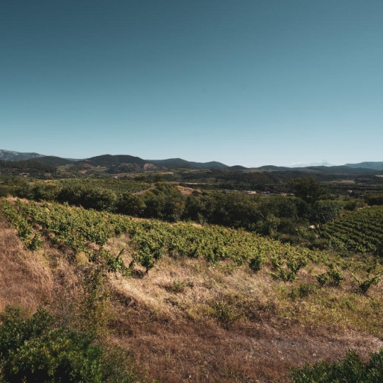 Benedicte JOUVET - ODYSSEE - IMMO-DIFFUSION : Terrain | CASCASTEL-DES-CORBIERES (11360) | 107 m2 | 130 000 €   Benedicte JOUVET - ODYSSEE - IMMO-DIFFUSION : Terrain | CASCASTEL-DES-CORBIERES (11360) | 107 m2 | 130 000 €