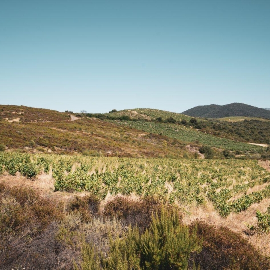 Benedicte JOUVET - ODYSSEE - IMMO-DIFFUSION : Terrain | CASCASTEL-DES-CORBIERES (11360) | 107 m2 | 130 000 €   Benedicte JOUVET - ODYSSEE - IMMO-DIFFUSION : Terrain | CASCASTEL-DES-CORBIERES (11360) | 107 m2 | 130 000 €