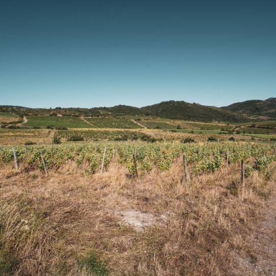 Benedicte JOUVET - ODYSSEE - IMMO-DIFFUSION : Terrain | CASCASTEL-DES-CORBIERES (11360) | 107 m2 | 130 000 €   Benedicte JOUVET - ODYSSEE - IMMO-DIFFUSION : Terrain | CASCASTEL-DES-CORBIERES (11360) | 107 m2 | 130 000 €