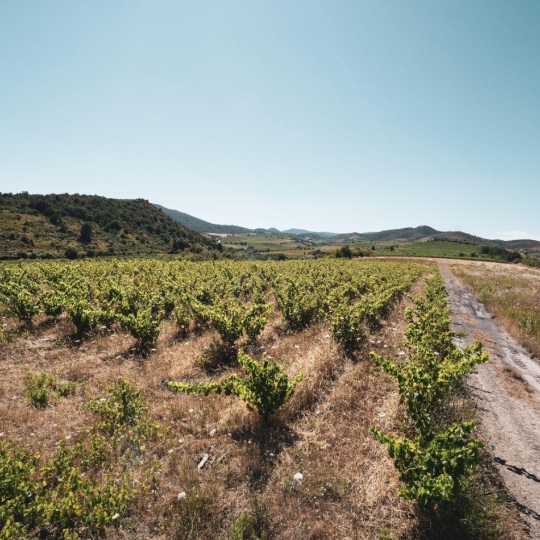 Benedicte JOUVET - ODYSSEE - IMMO-DIFFUSION : Terrain | CASCASTEL-DES-CORBIERES (11360) | 107 m2 | 130 000 €   Benedicte JOUVET - ODYSSEE - IMMO-DIFFUSION : Terrain | CASCASTEL-DES-CORBIERES (11360) | 107 m2 | 130 000 €