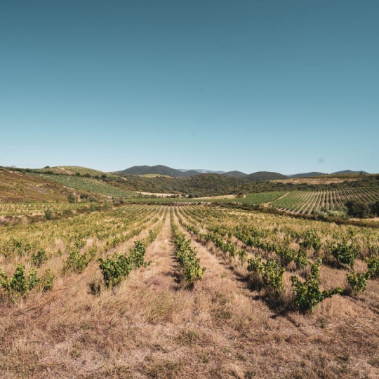 Benedicte JOUVET - ODYSSEE - IMMO-DIFFUSION : Terrain | CASCASTEL-DES-CORBIERES (11360) | 107 m2 | 130 000 €   Benedicte JOUVET - ODYSSEE - IMMO-DIFFUSION : Terrain | CASCASTEL-DES-CORBIERES (11360) | 107 m2 | 130 000 €