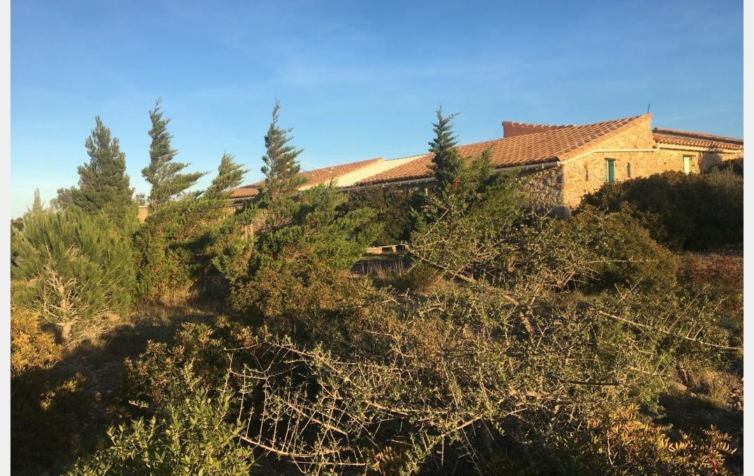 Benedicte JOUVET - ODYSSEE - IMMO-DIFFUSION : Maison / Villa | FITOU (11510) | 108 m2 | 227 000 € 