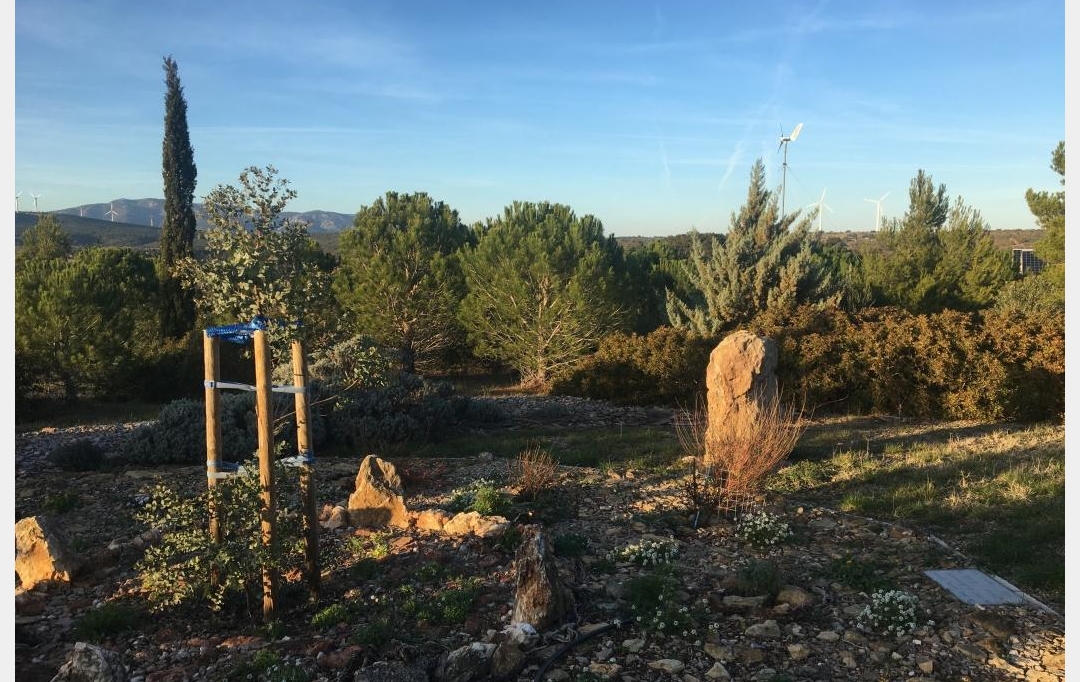 Benedicte JOUVET - ODYSSEE - IMMO-DIFFUSION : Maison / Villa | FITOU (11510) | 108 m2 | 227 000 € 