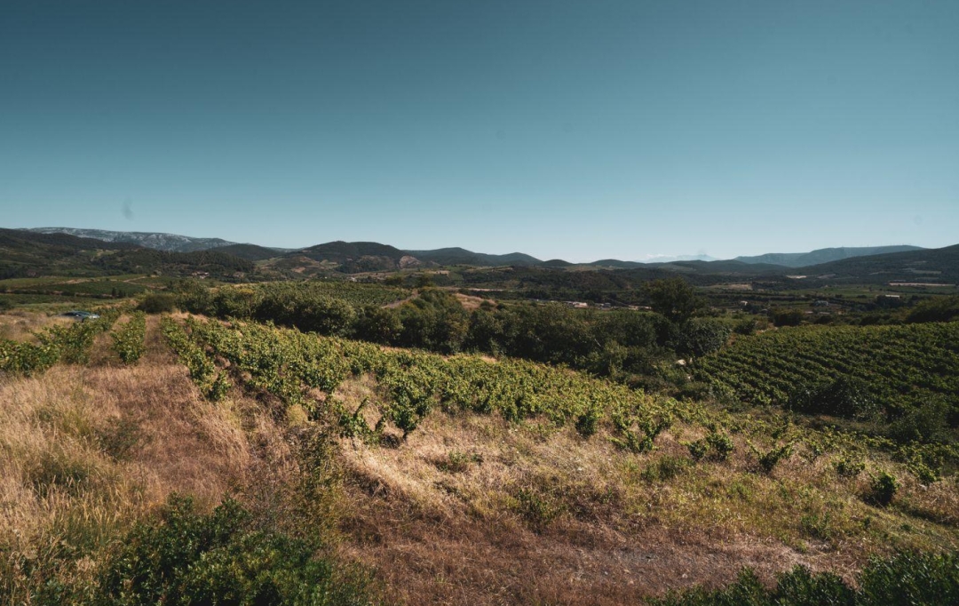 Benedicte JOUVET - ODYSSEE - IMMO-DIFFUSION : Terrain | CASCASTEL-DES-CORBIERES (11360) | 107 m2 | 130 000 €  Benedicte JOUVET - ODYSSEE - IMMO-DIFFUSION : Terrain | CASCASTEL-DES-CORBIERES (11360) | 107 m2 | 130 000 €