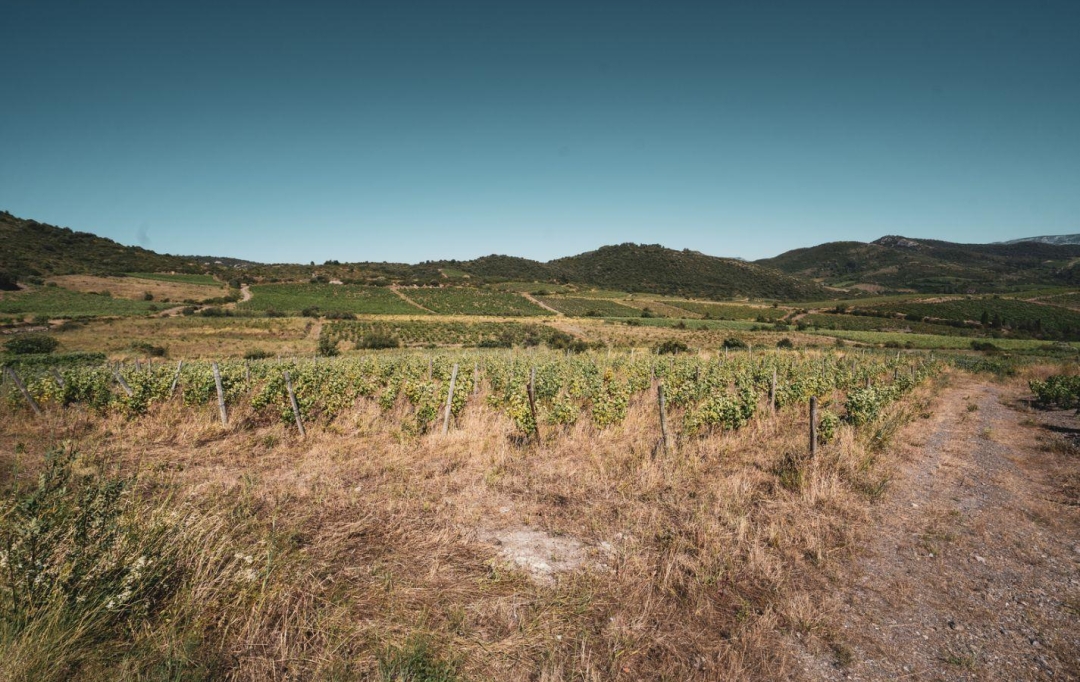 Benedicte JOUVET - ODYSSEE - IMMO-DIFFUSION : Terrain | CASCASTEL-DES-CORBIERES (11360) | 107 m2 | 130 000 €  Benedicte JOUVET - ODYSSEE - IMMO-DIFFUSION : Terrain | CASCASTEL-DES-CORBIERES (11360) | 107 m2 | 130 000 €