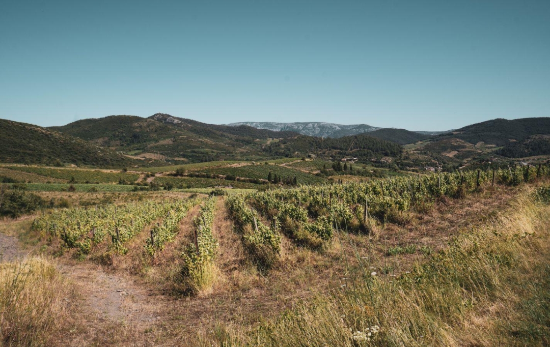 Benedicte JOUVET - ODYSSEE - IMMO-DIFFUSION : Terrain | CASCASTEL-DES-CORBIERES (11360) | 107 m2 | 130 000 €  Benedicte JOUVET - ODYSSEE - IMMO-DIFFUSION : Terrain | CASCASTEL-DES-CORBIERES (11360) | 107 m2 | 130 000 €