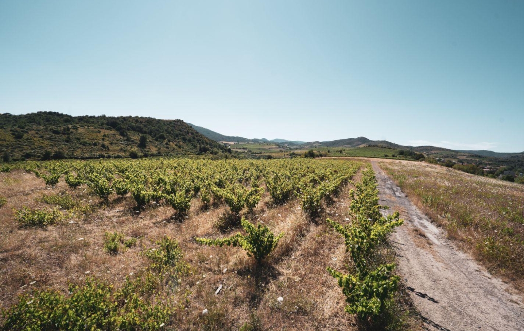 Benedicte JOUVET - ODYSSEE - IMMO-DIFFUSION : Terrain | CASCASTEL-DES-CORBIERES (11360) | 107 m2 | 130 000 €  Benedicte JOUVET - ODYSSEE - IMMO-DIFFUSION : Terrain | CASCASTEL-DES-CORBIERES (11360) | 107 m2 | 130 000 €