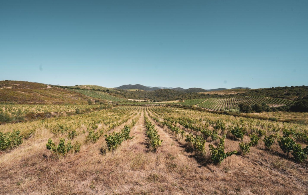 Benedicte JOUVET - ODYSSEE - IMMO-DIFFUSION : Terrain | CASCASTEL-DES-CORBIERES (11360) | 107 m2 | 130 000 €  Benedicte JOUVET - ODYSSEE - IMMO-DIFFUSION : Terrain | CASCASTEL-DES-CORBIERES (11360) | 107 m2 | 130 000 €