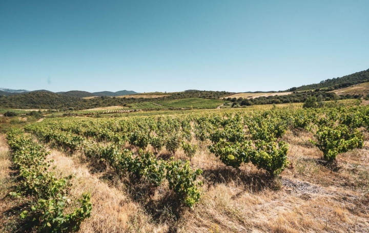 Terrain  CASCASTEL-DES-CORBIERES  107 m2 130 000 €  Terrain   CASCASTEL-DES-CORBIERES  107 m2 130 000 €